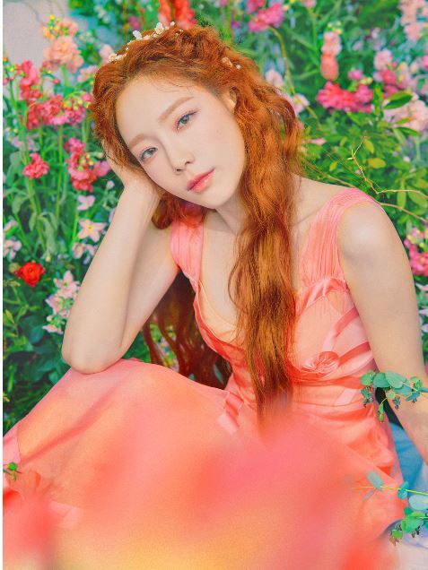 태연라이브 이미지