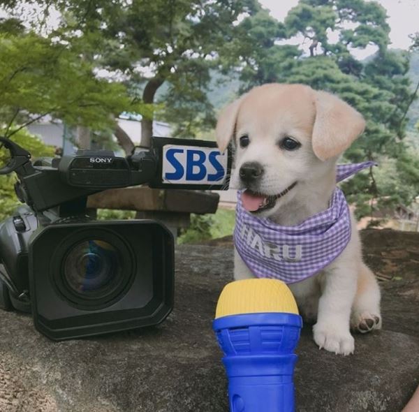 (사진=짱절미 인스타그램)