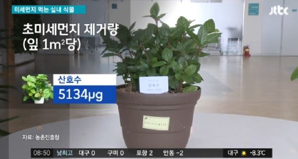 (사진=JTBC 제공)