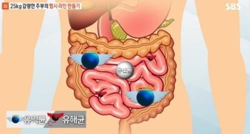 사진=SBS '모닝와이드' 방송캡처