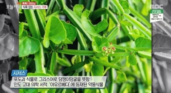 사진=MBC방송캡처
