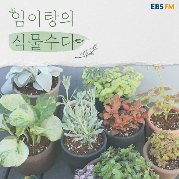 사진제공=EBS