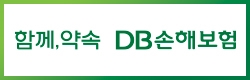 DB손해보험